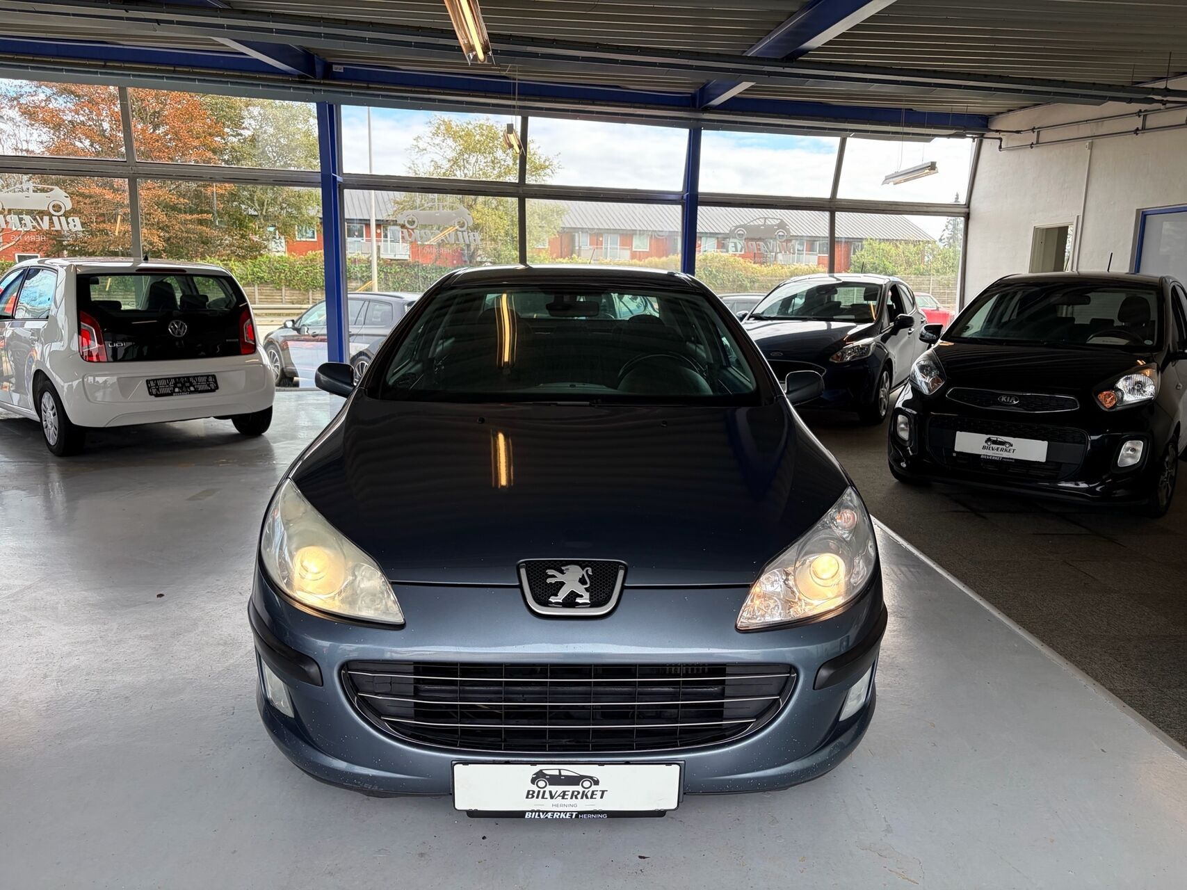 undefined Peugeot 407 fra 2007