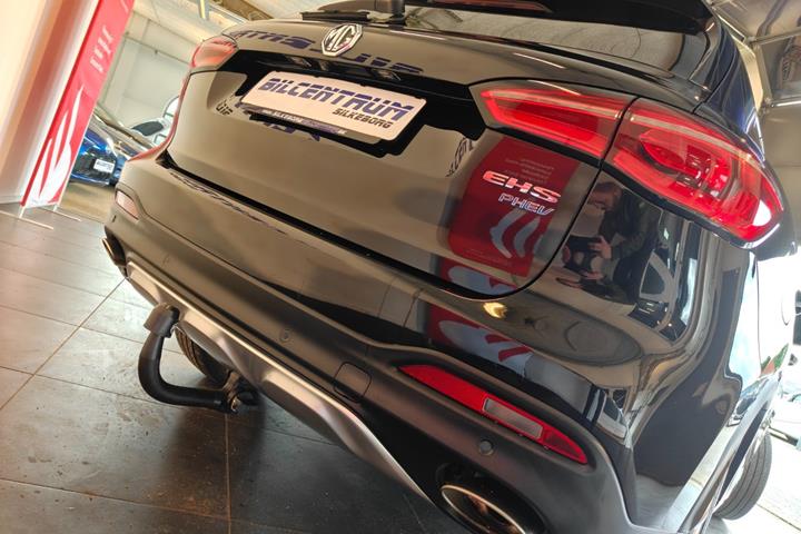 Sort MG EHS fra 2021
