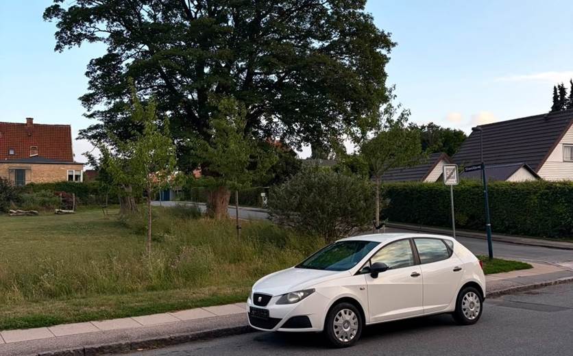 Seat Ibiza 1,4 16V 100 Sport