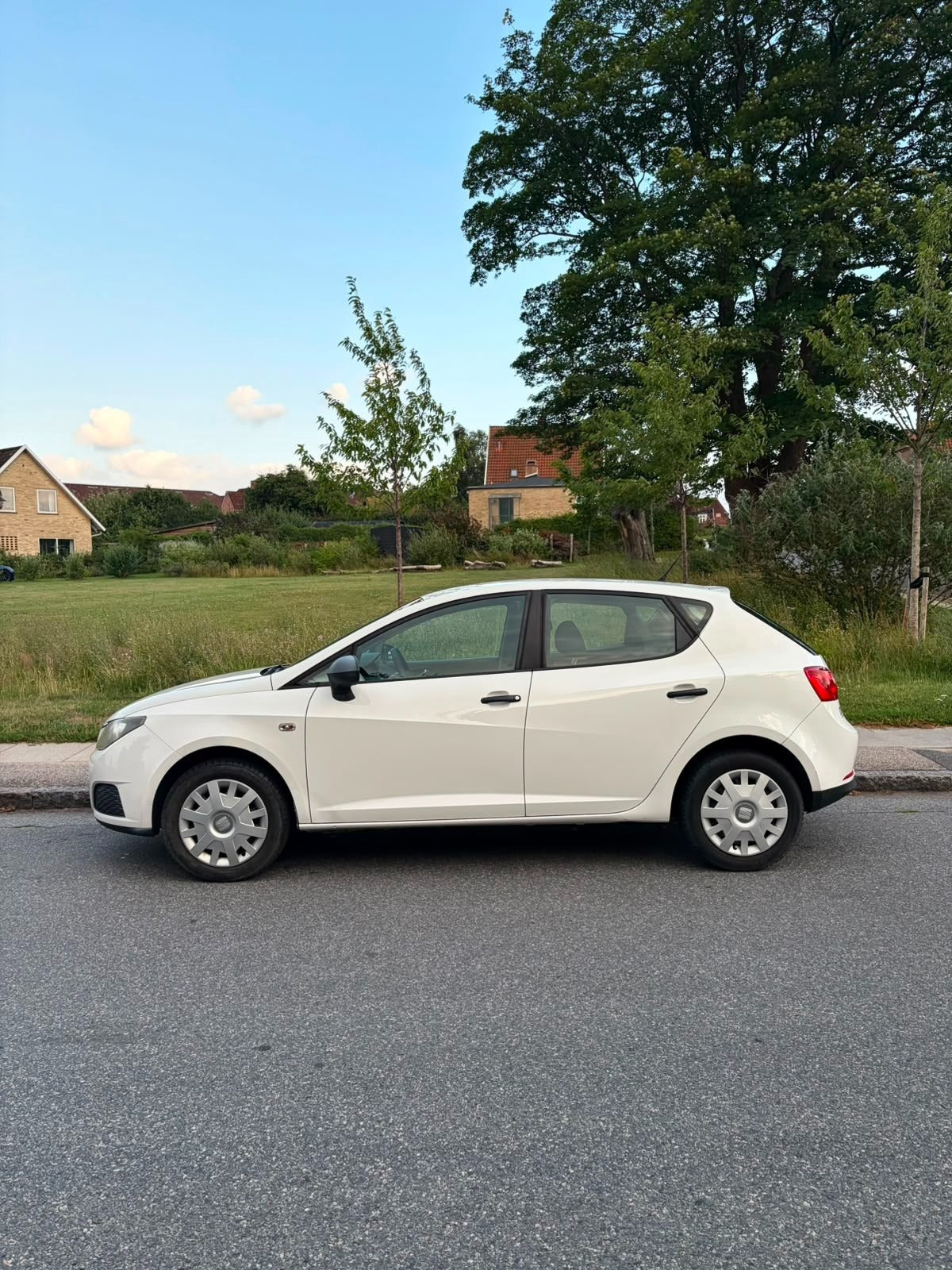undefined Seat Ibiza fra 2009