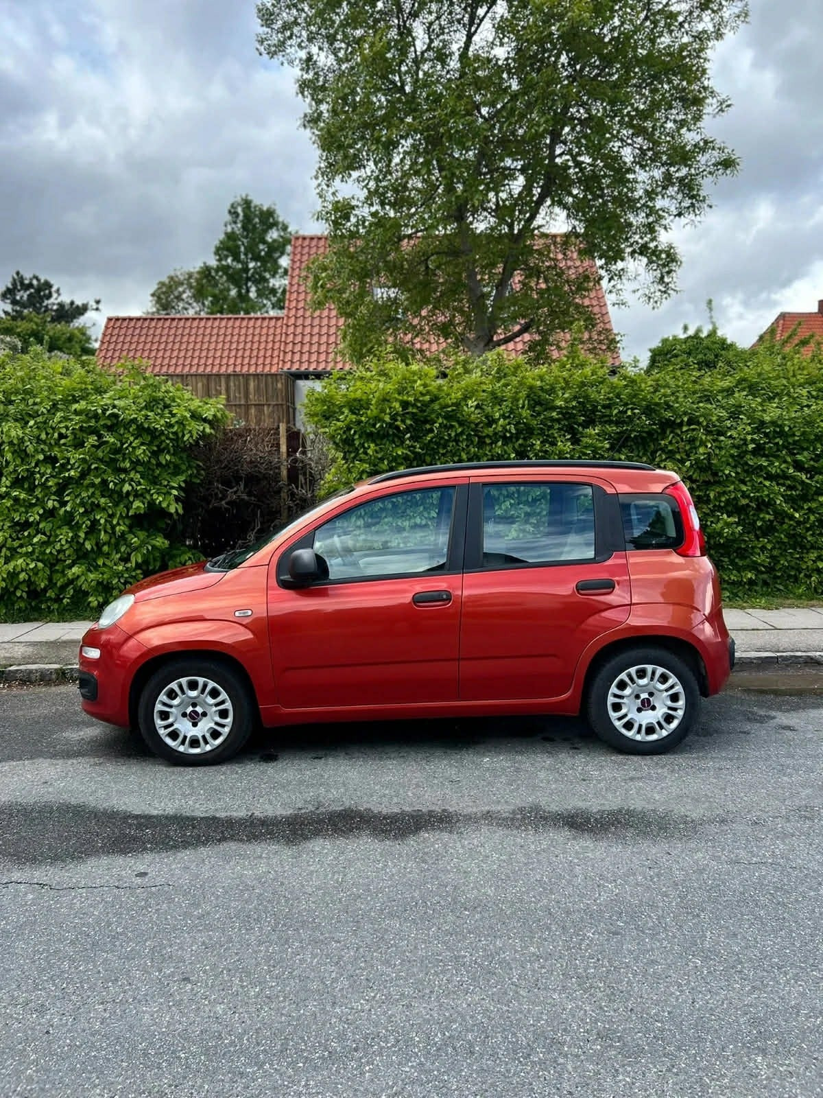Grøn Fiat Panda fra 2013