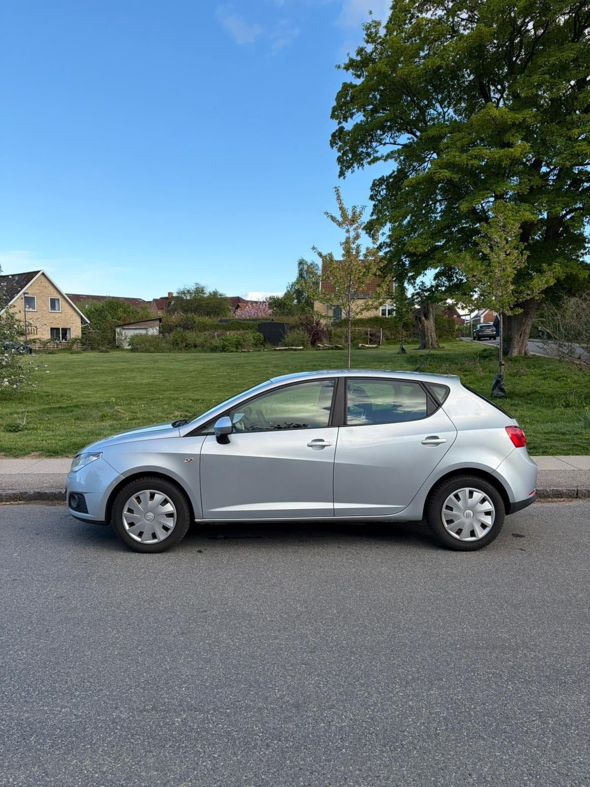Grøn Seat Ibiza fra 2008