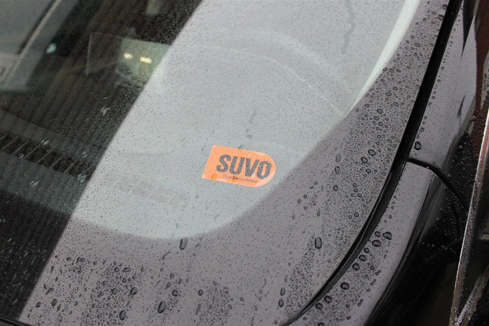 Sort Ford Kuga fra 2021