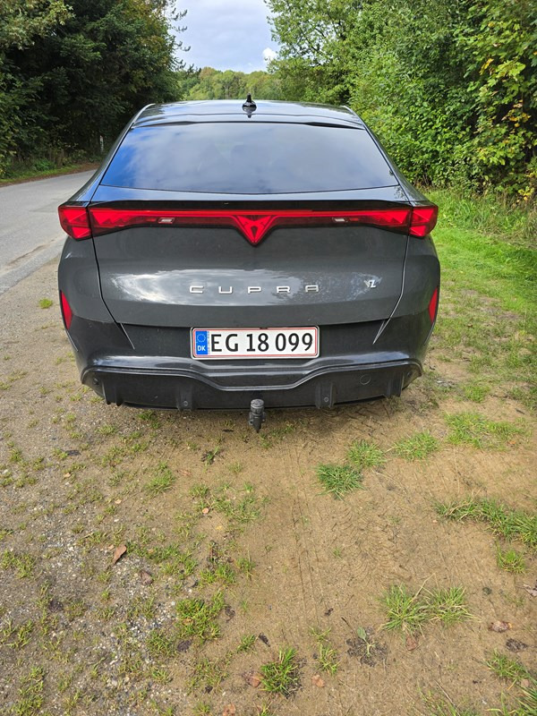 undefined Cupra Tavascan fra 2024