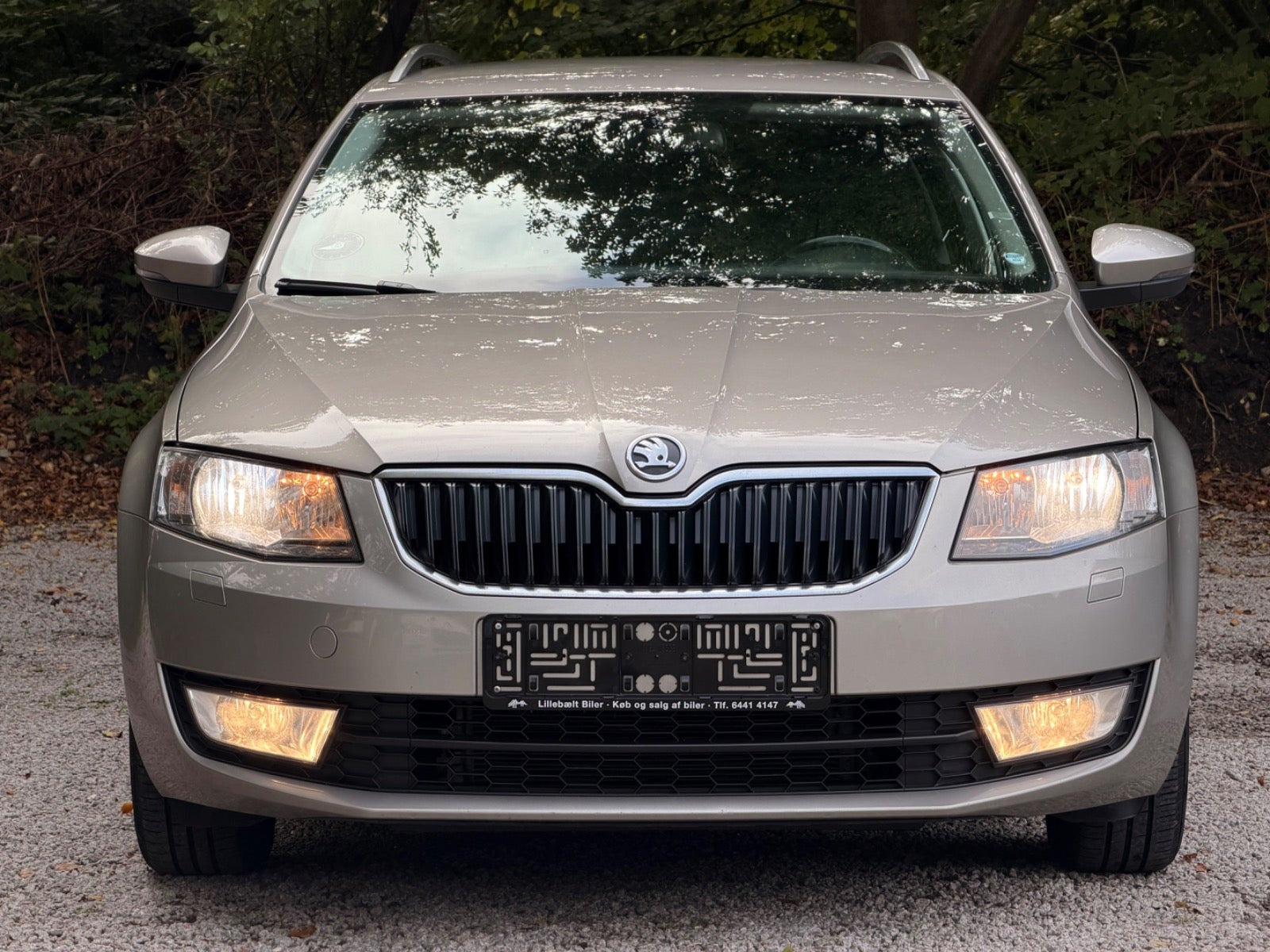 undefined Skoda Octavia fra 2014