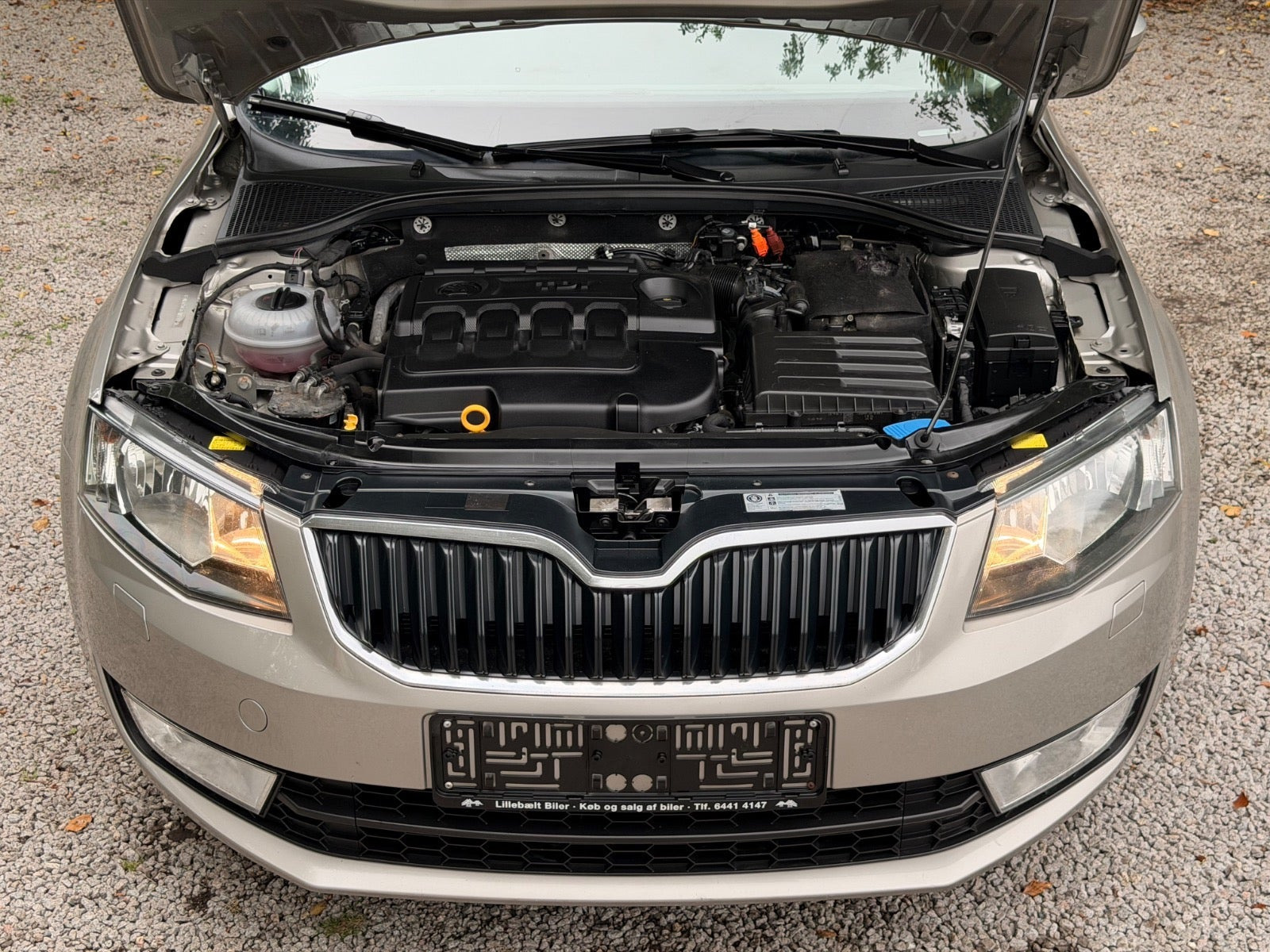 undefined Skoda Octavia fra 2014