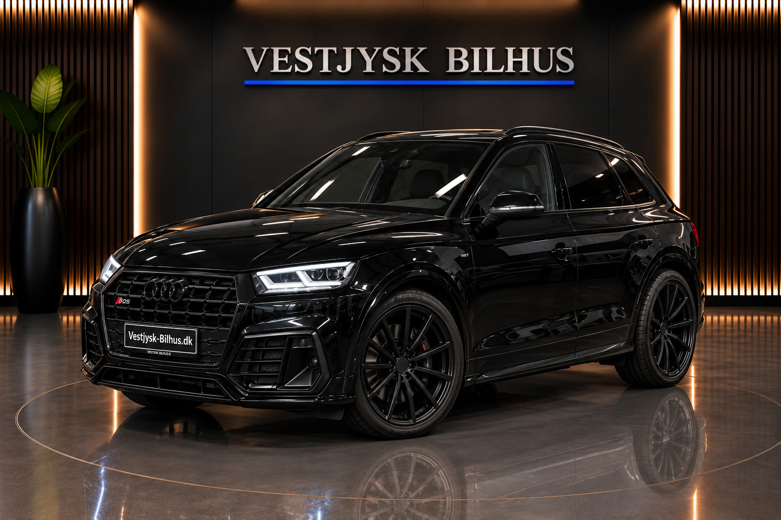 Audi SQ5 3,0 TDi quattro Tiptr.