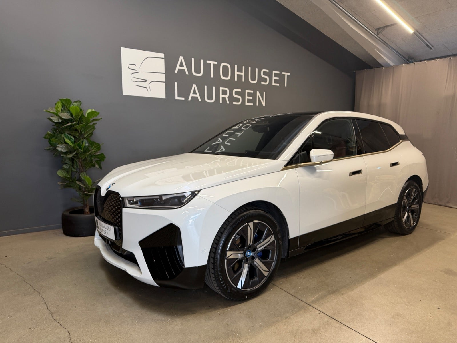 BMW iX xDrive50 Sport