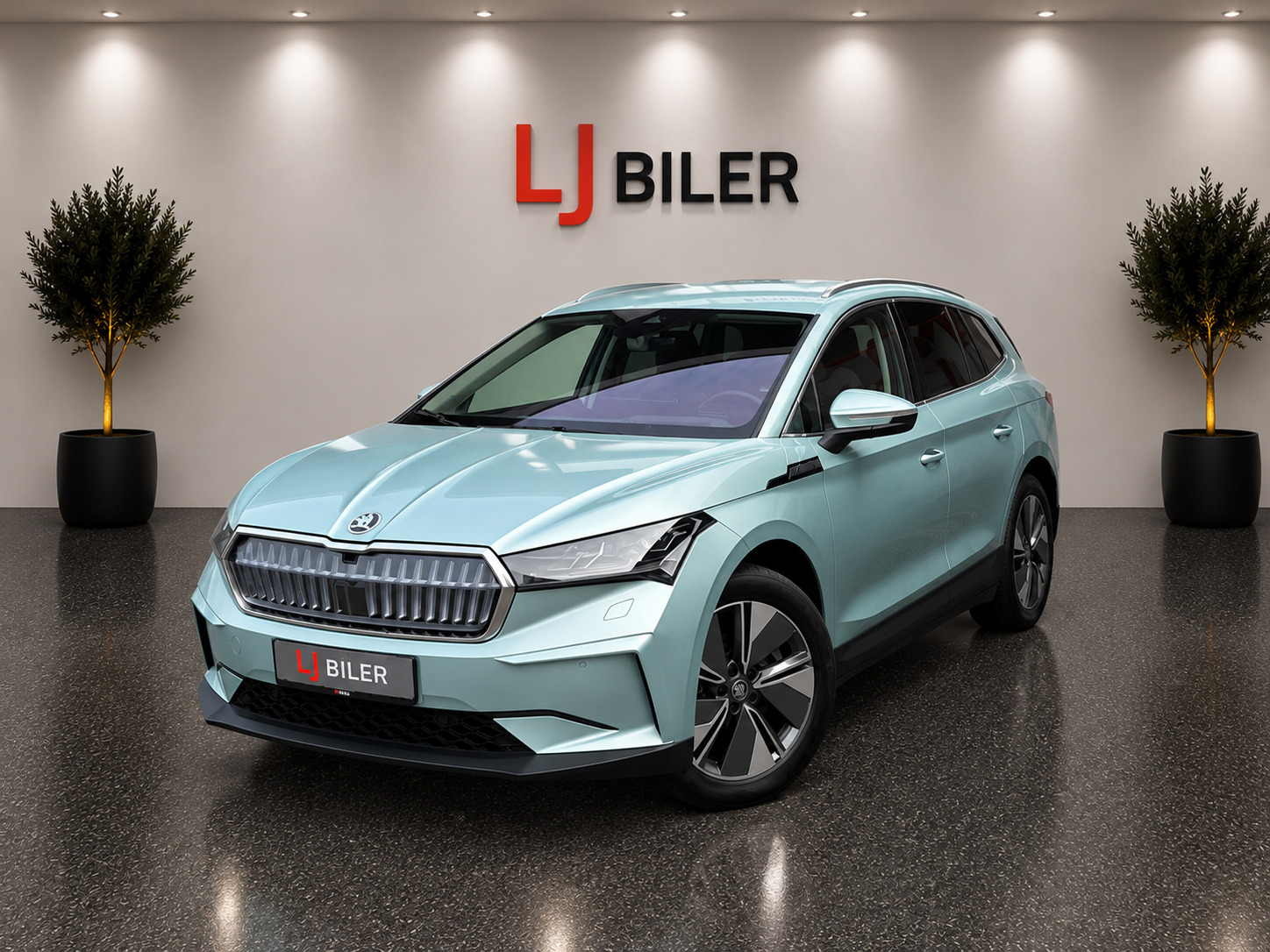 Skoda Enyaq 80 iV Design Selection Suite
