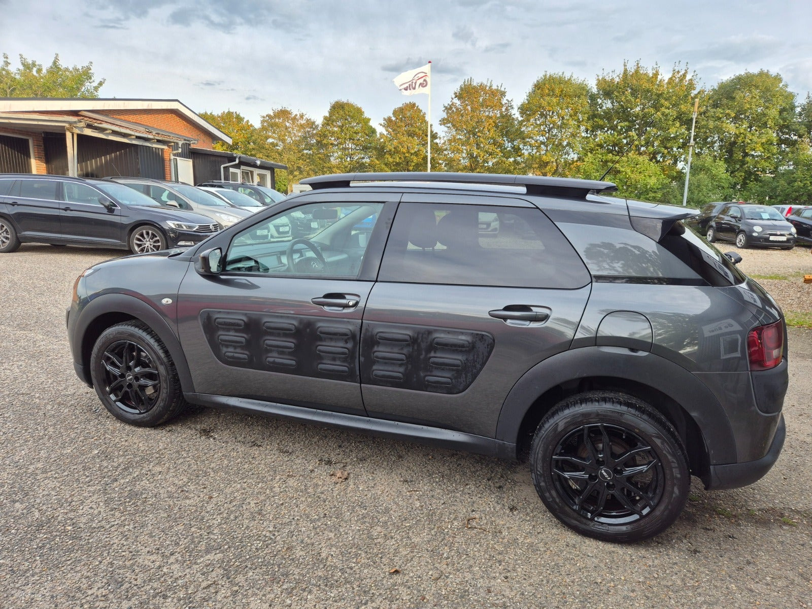 Grøn Citroën C4 Cactus fra 2017
