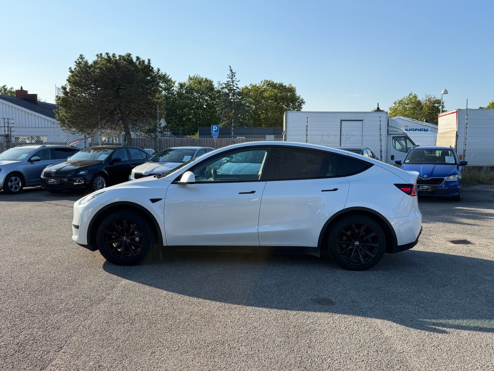 undefined Tesla Model Y fra 2023