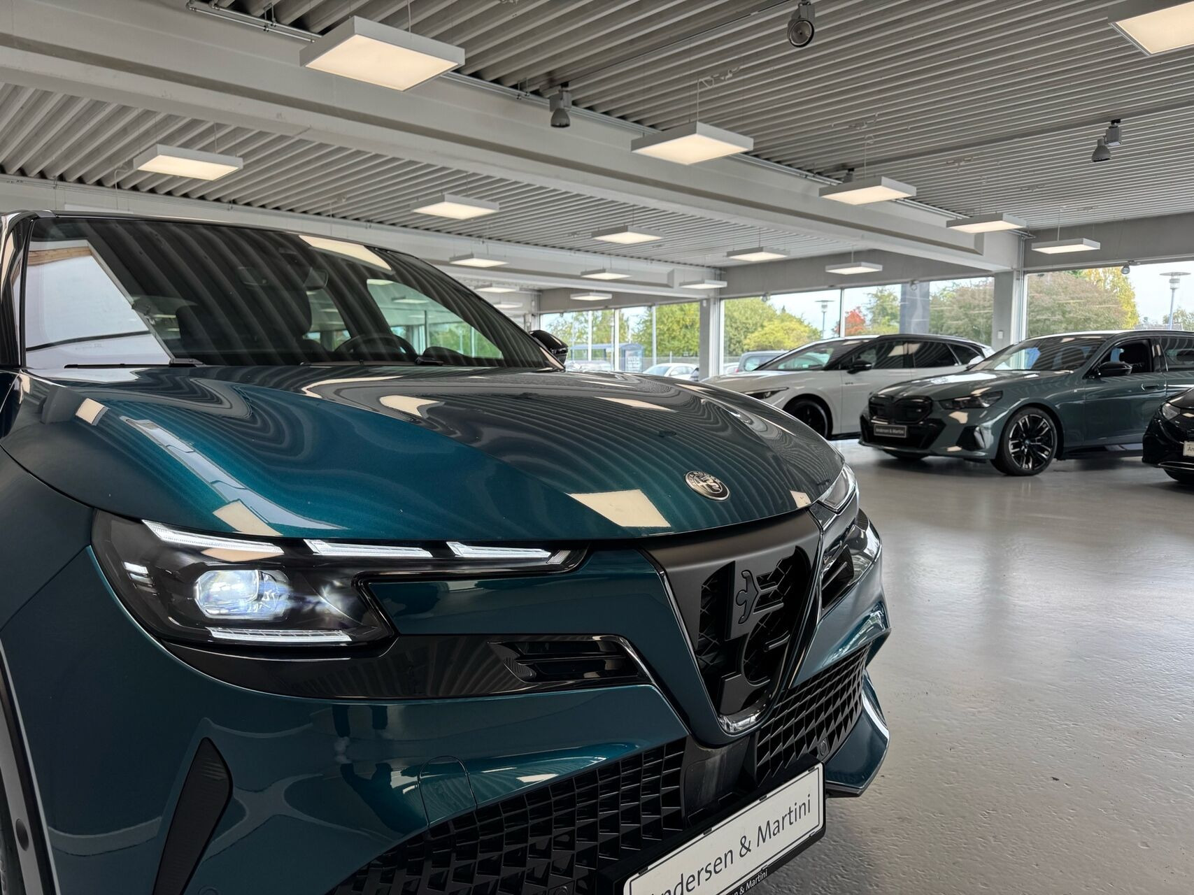 Blå Alfa Romeo Junior fra 2024