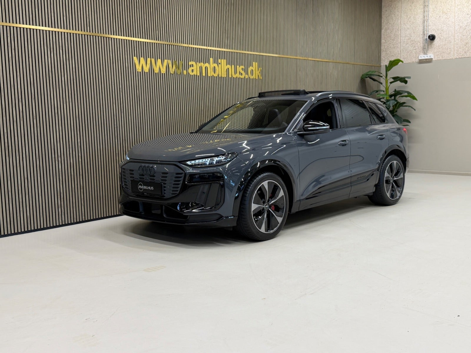 Audi SQ6 e-tron quattro