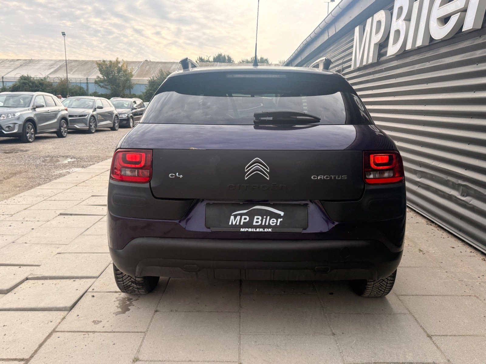 Lilla Citroën C4 Cactus fra 2015