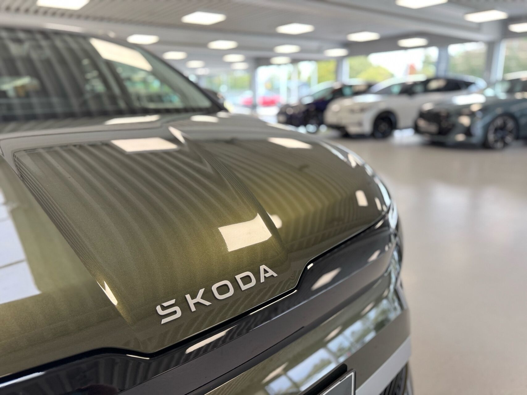Grøn Skoda Enyaq fra 2026