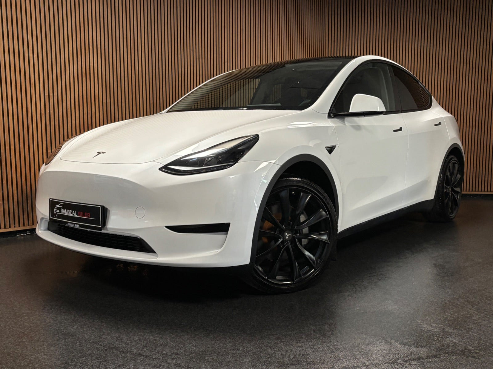 Tesla Model Y RWD