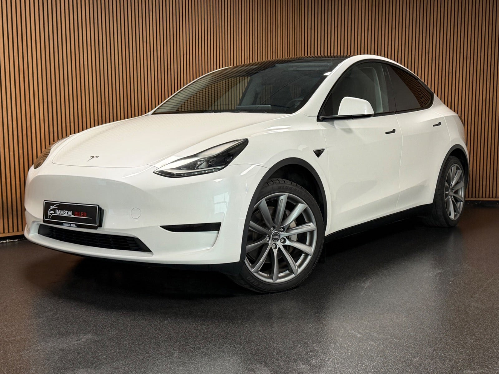 Tesla Model Y Long Range RWD