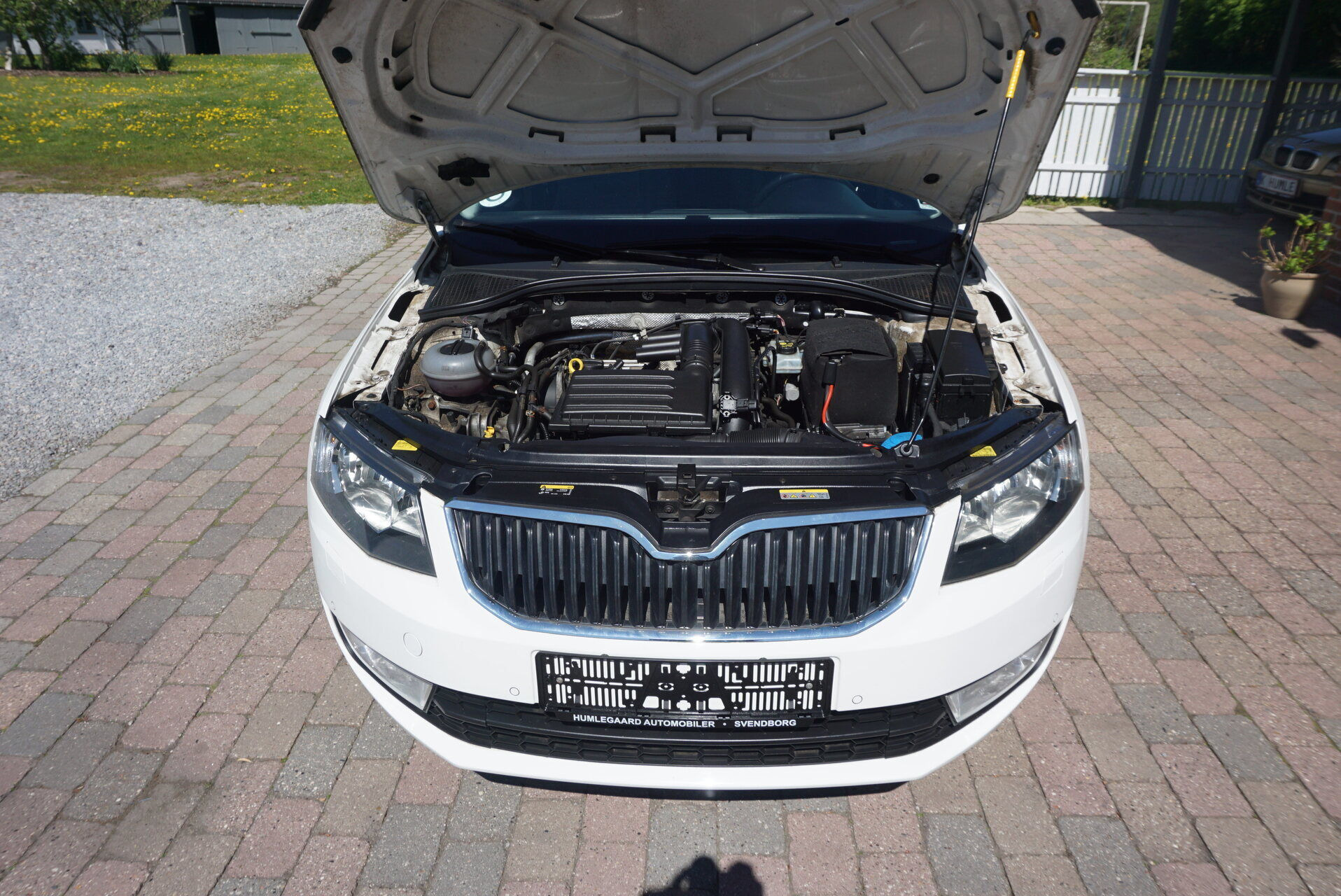 Hvid Skoda Octavia fra 2014