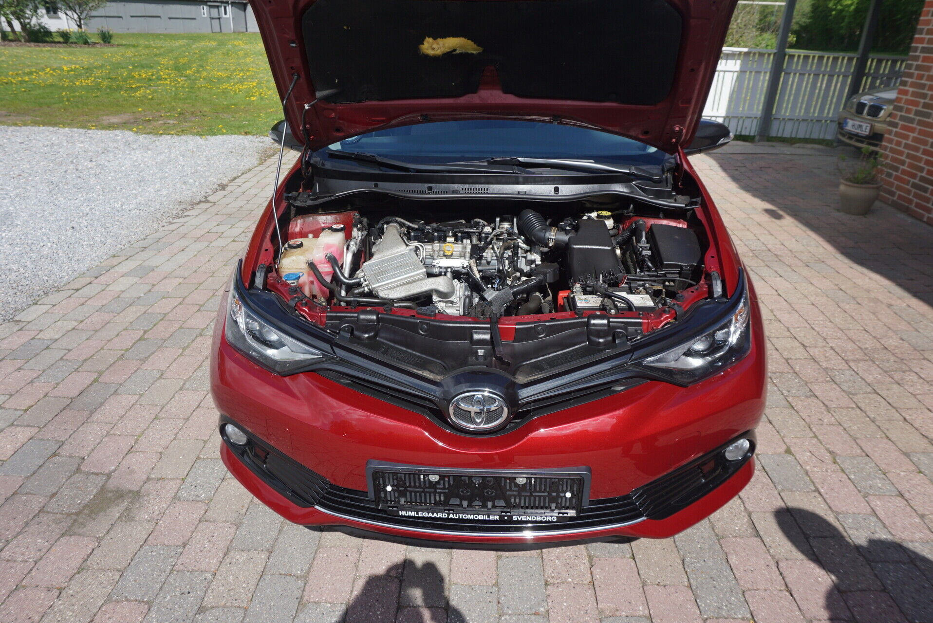 Rød Toyota Auris fra 2018