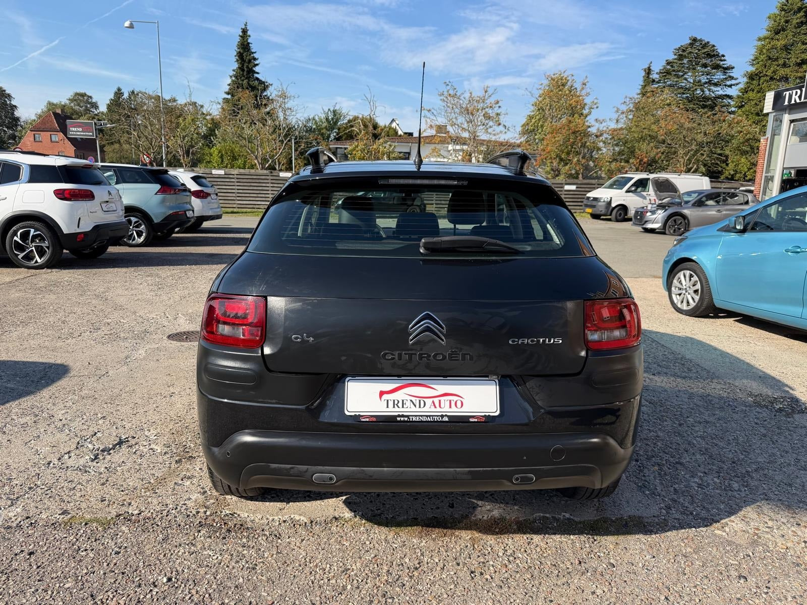 Sort Citroën C4 Cactus fra 2017