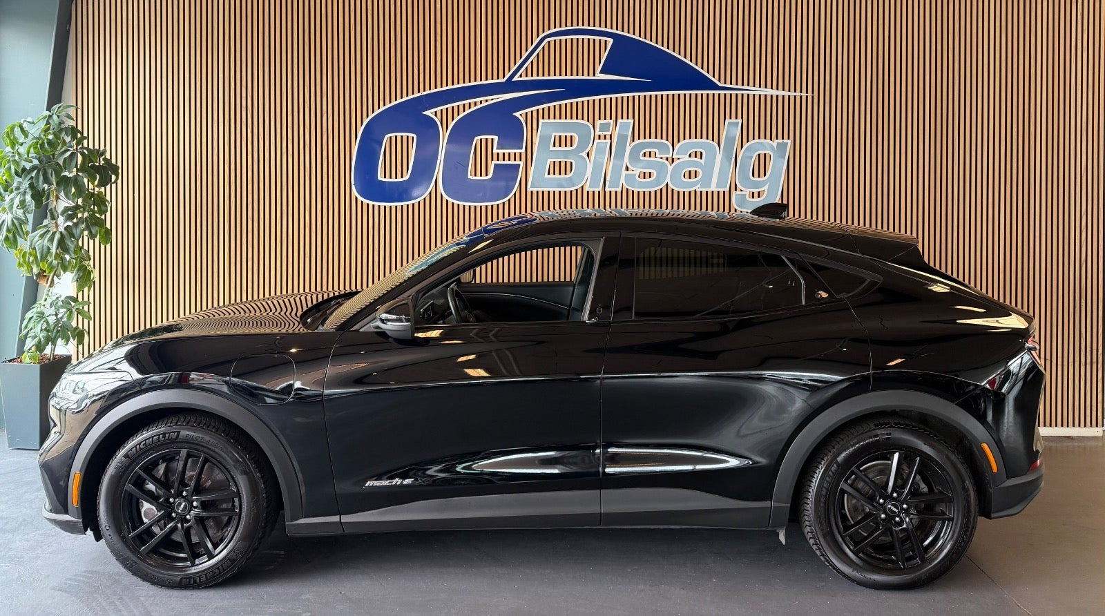 Sort Ford Mustang Mach-E fra 2021