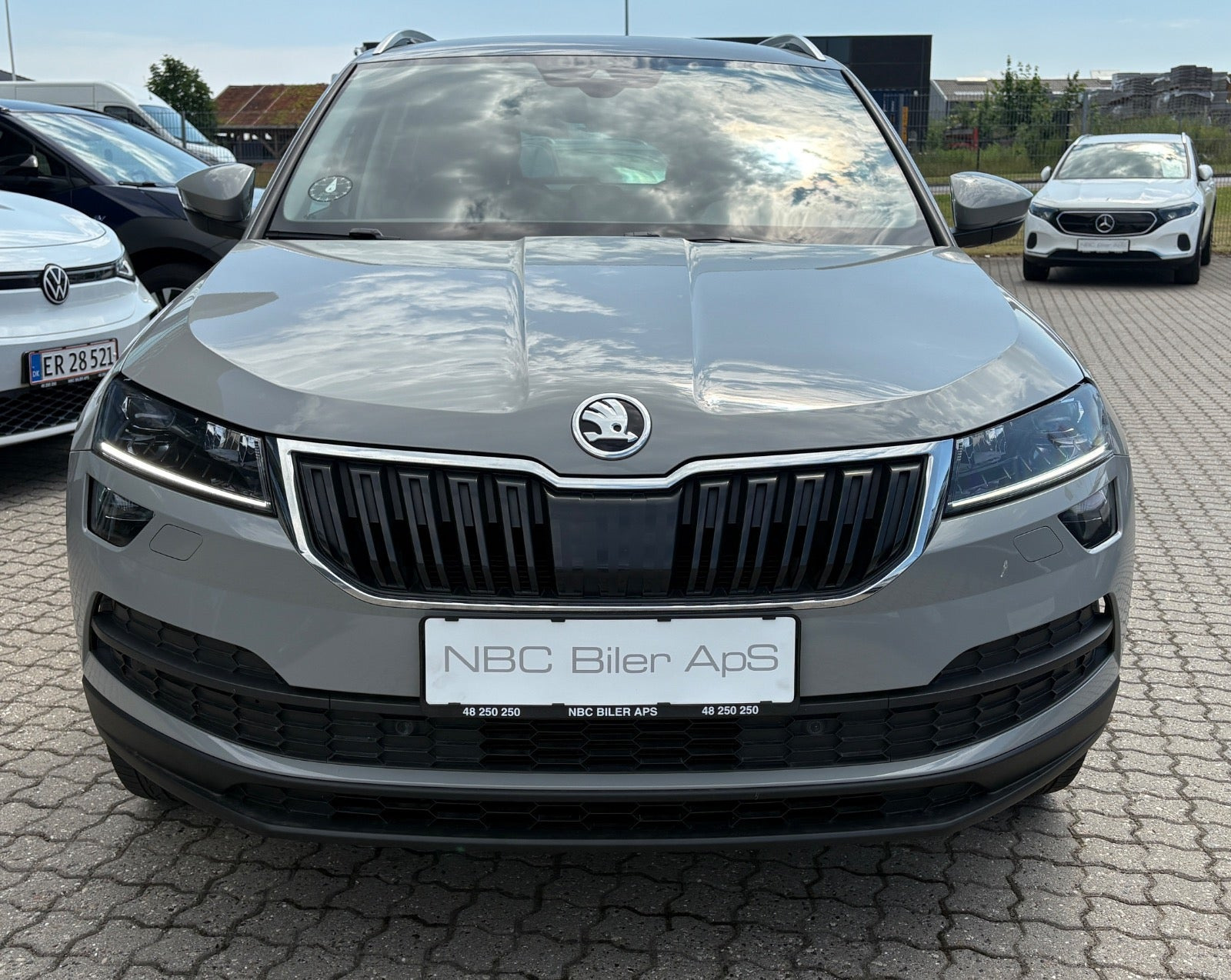 Grøn Skoda Karoq fra 2019