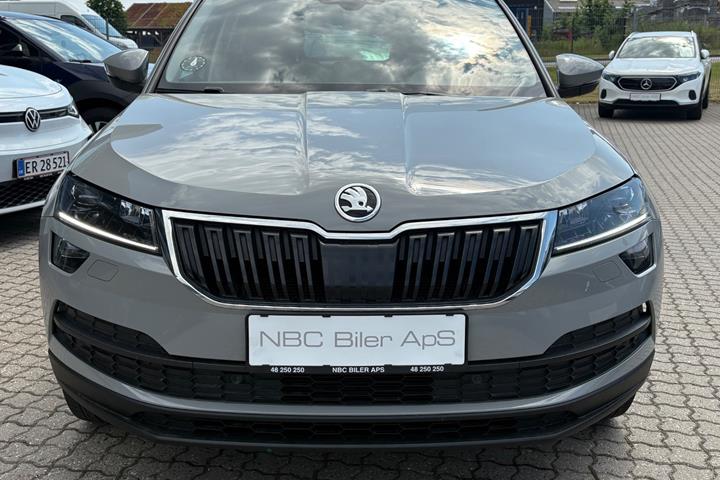 Grøn Skoda Karoq fra 2019