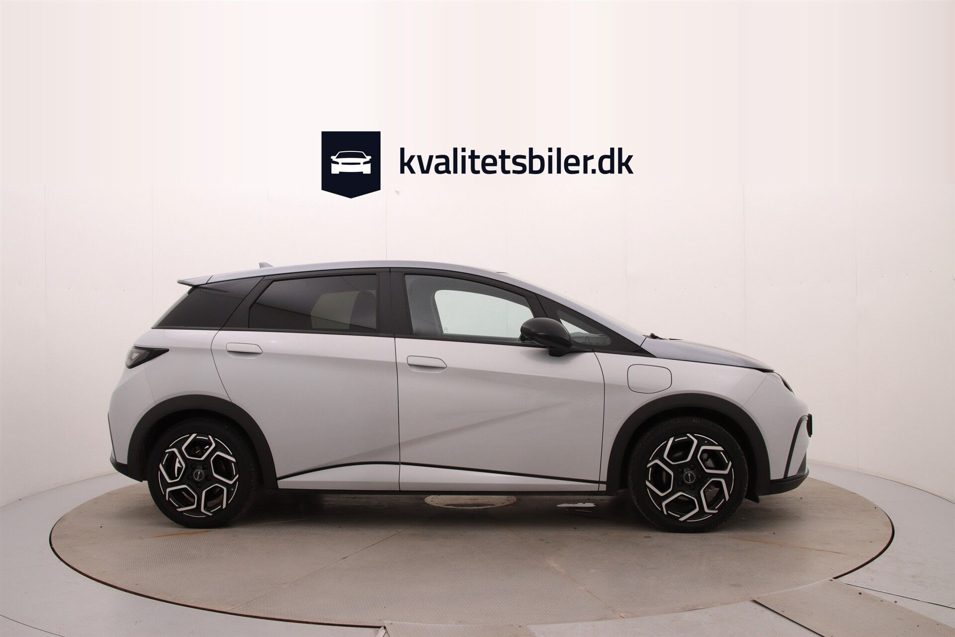 Grå BYD Dolphin fra 2024