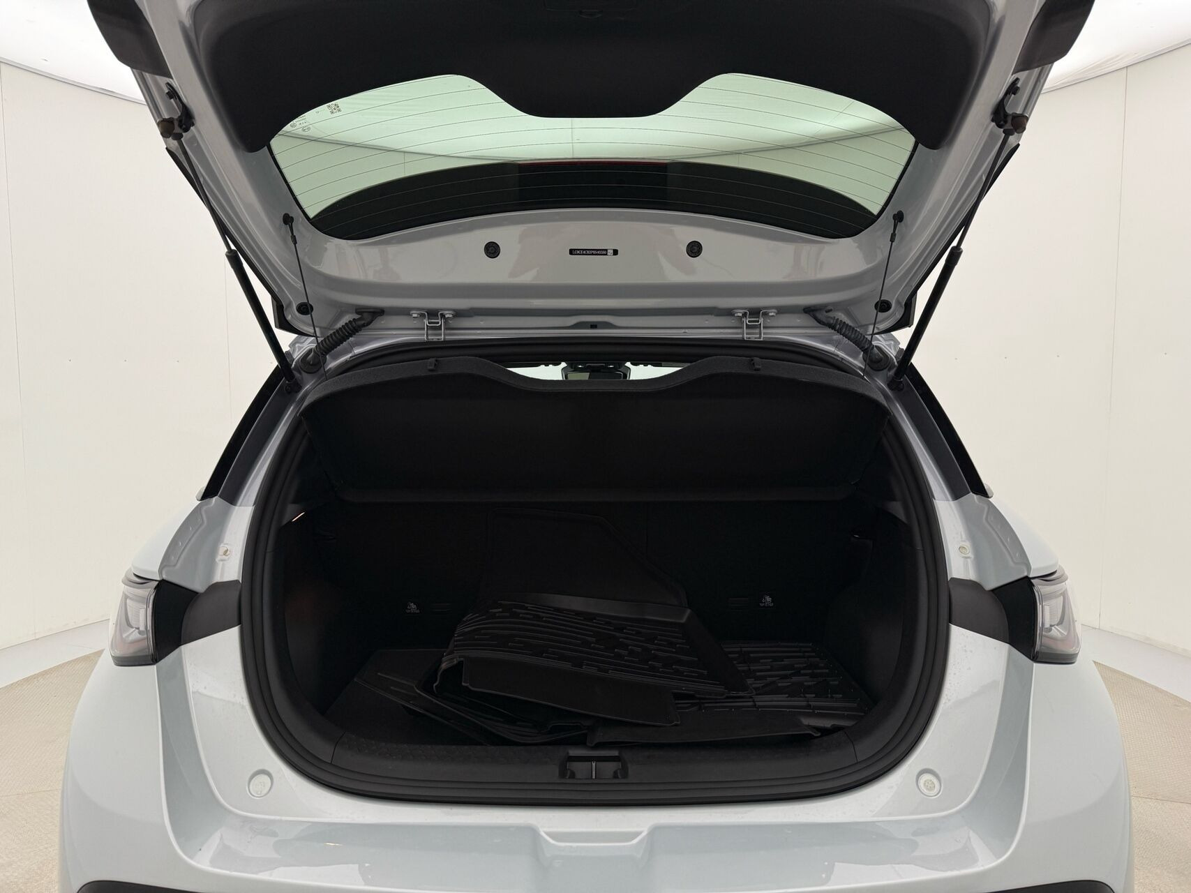 Grå BYD Dolphin fra 2024