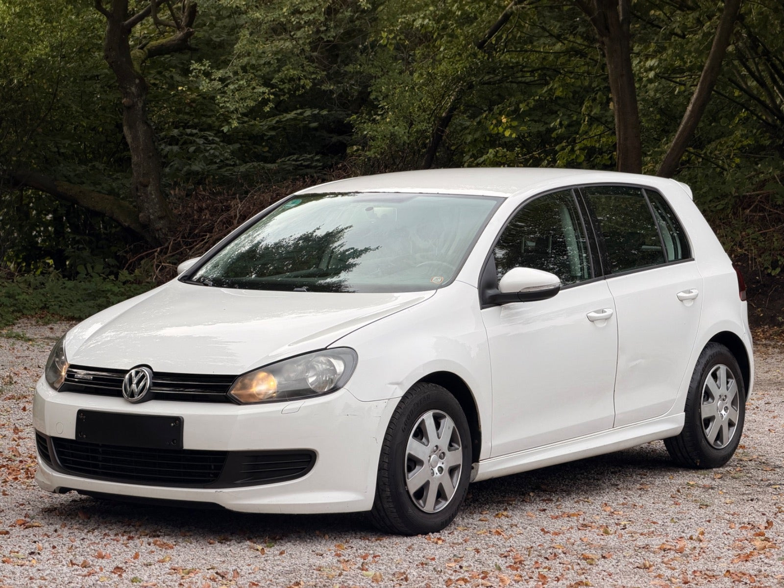 VW Golf VI 1,6 TDi 105 BlueMotion