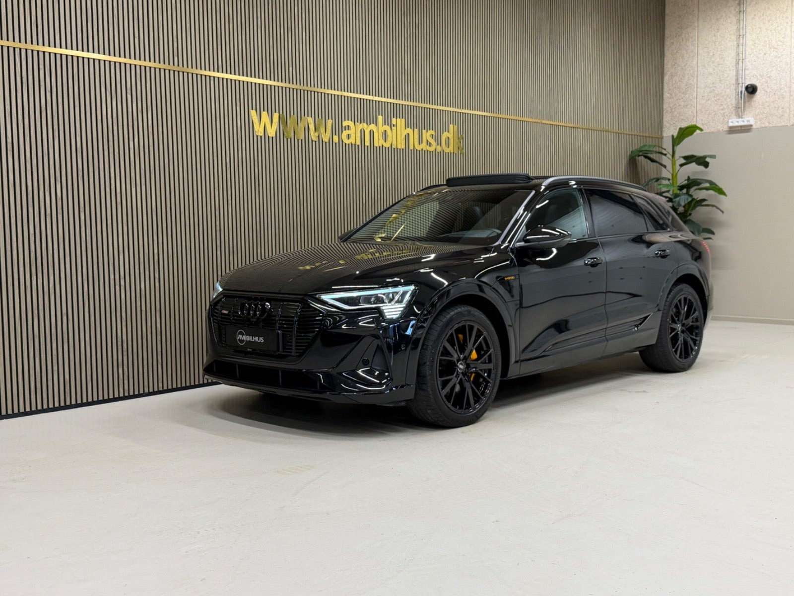 Audi e-tron 55 S-line quattro