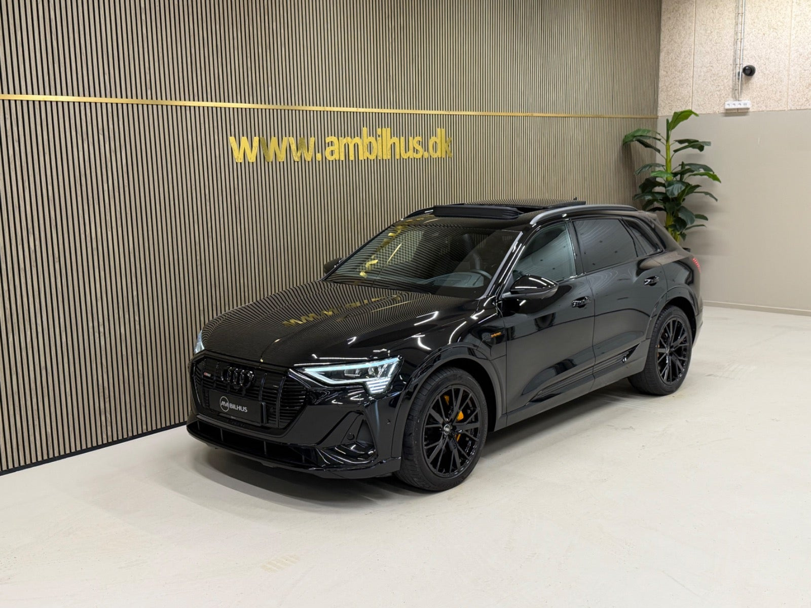 Sort Audi e-tron fra 2022