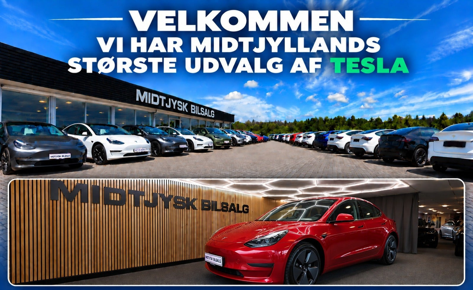 Tesla Model 3 RWD