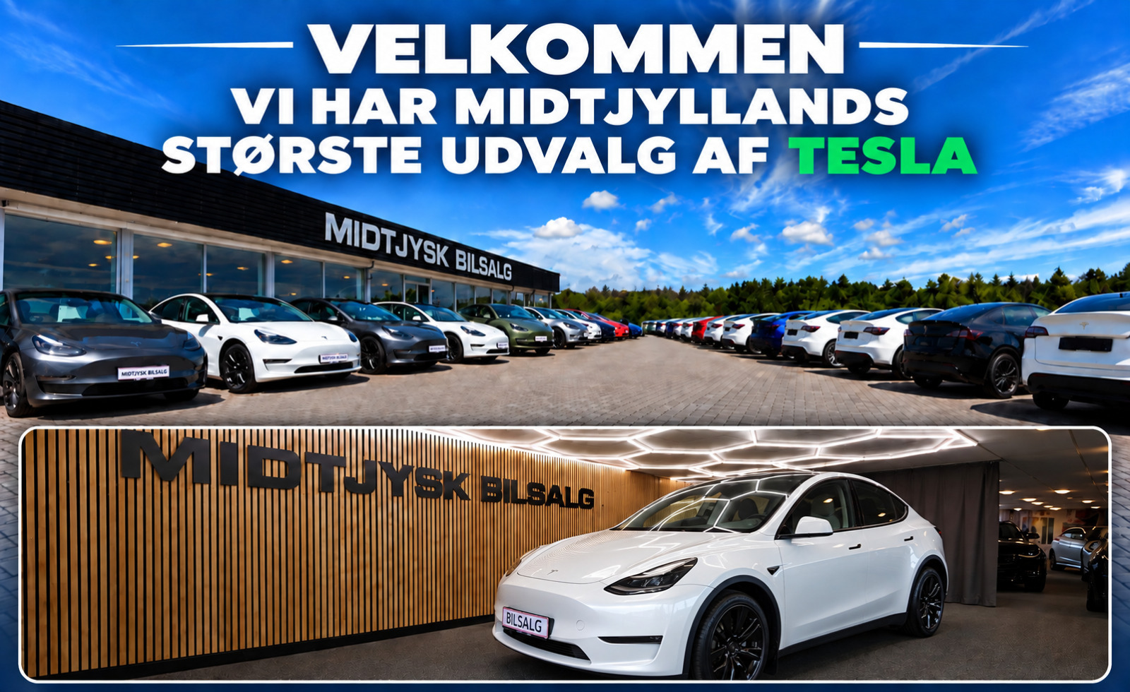 Tesla Model Y RWD
