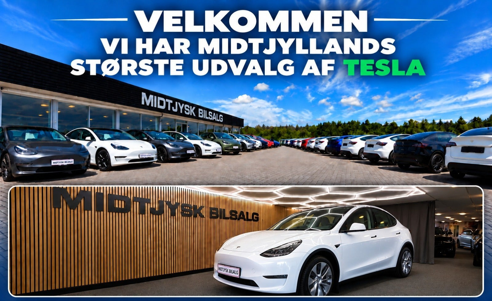 Tesla Model Y RWD