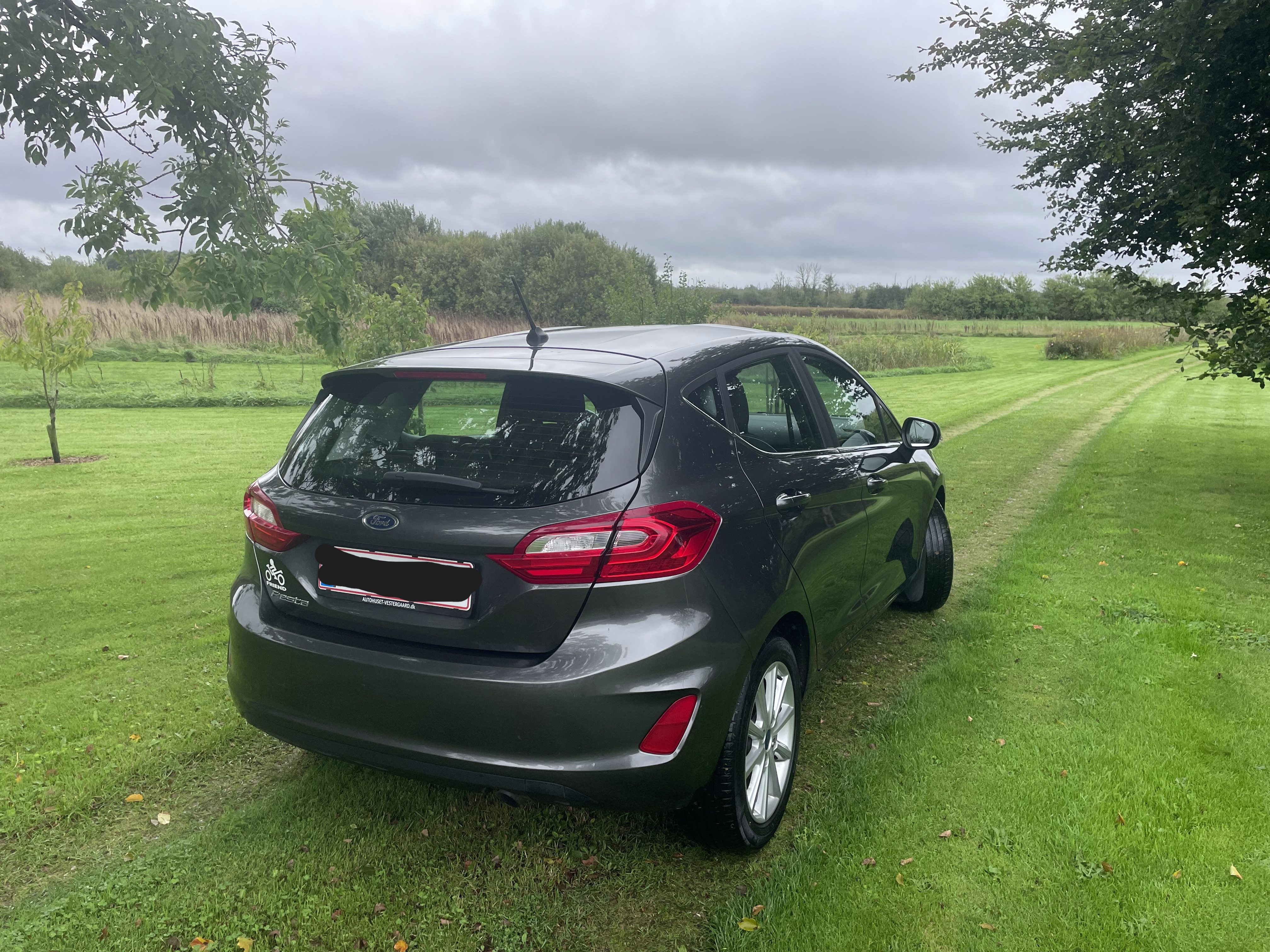 Grå Ford Fiesta fra 2018