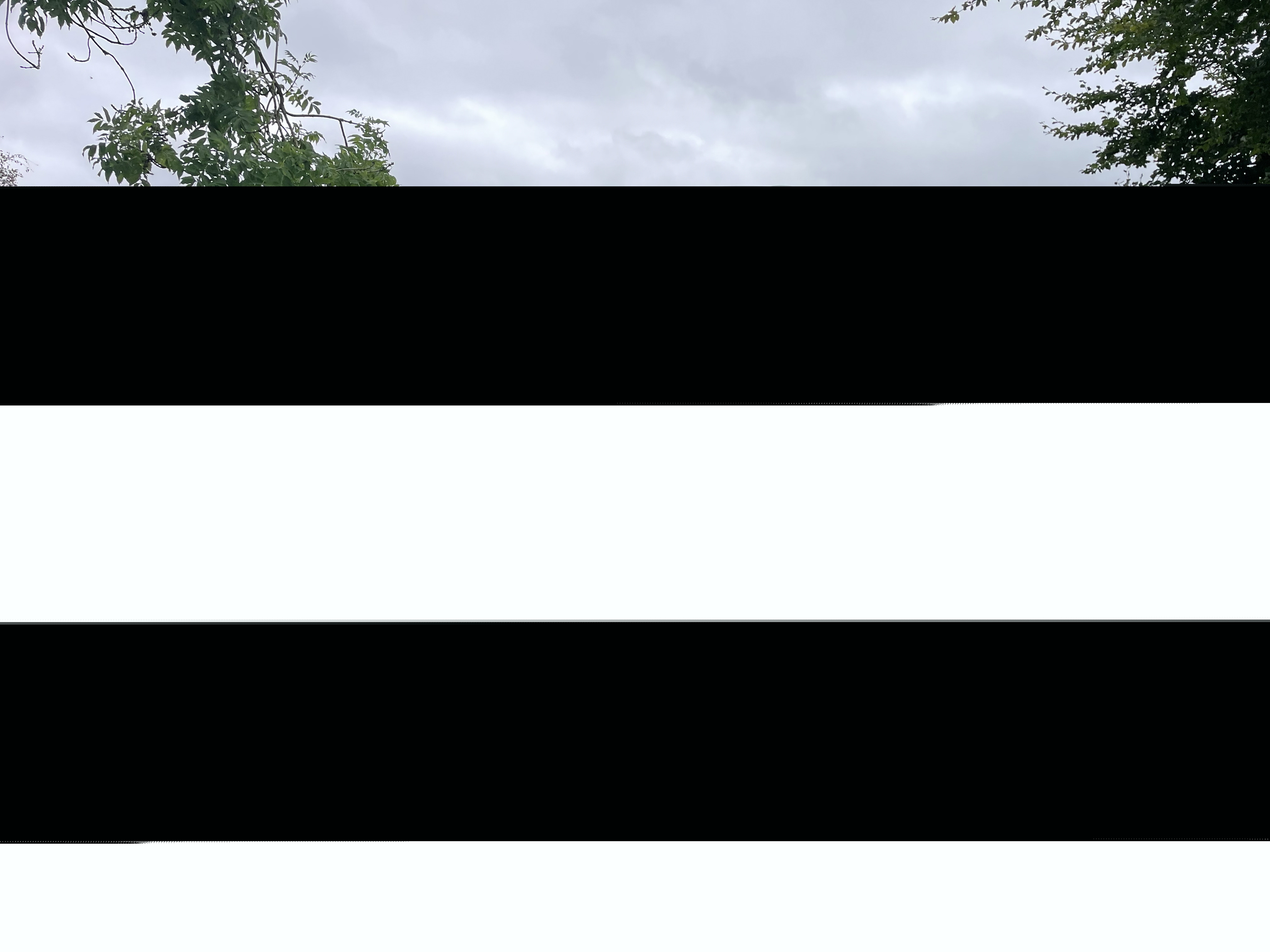 Grå Ford Fiesta fra 2018