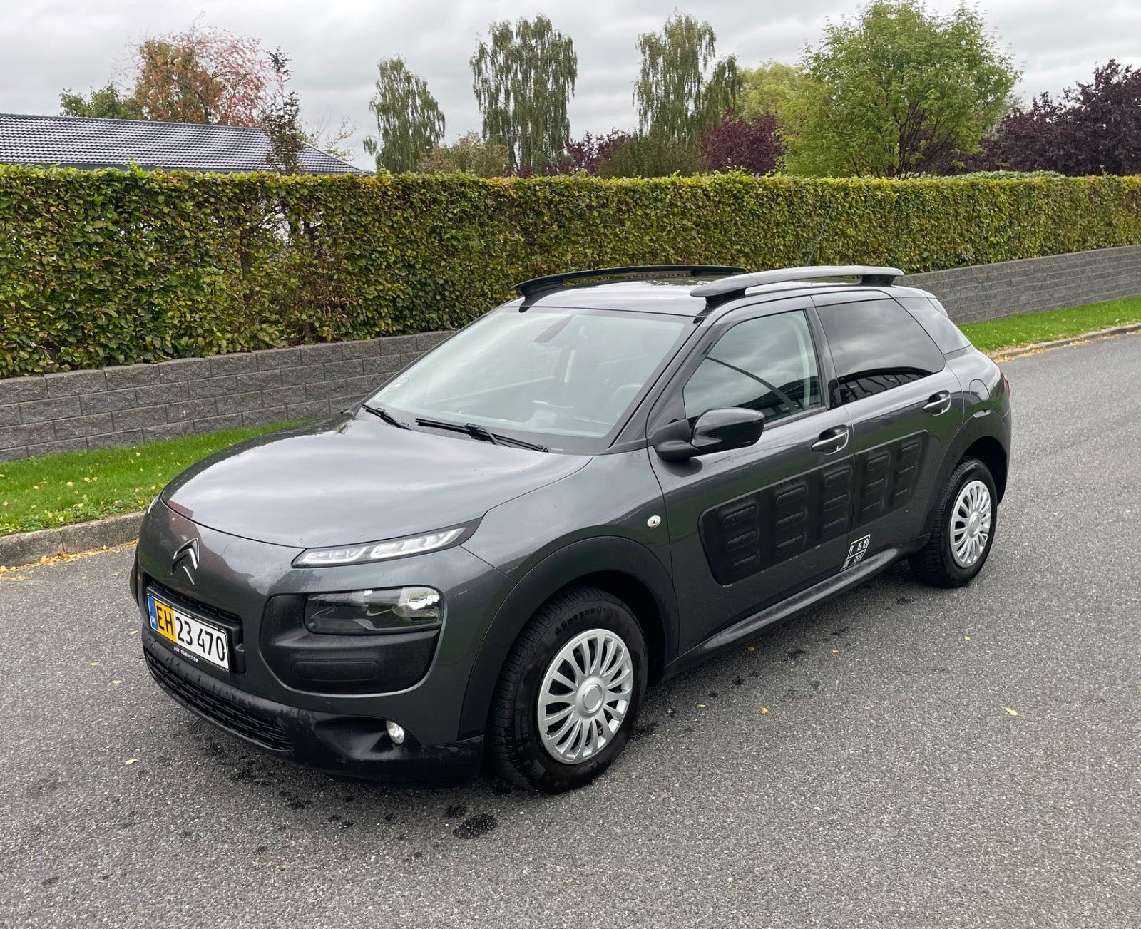 Citroën C4 Cactus 1,6 BlueHDi 100 Challenge Van