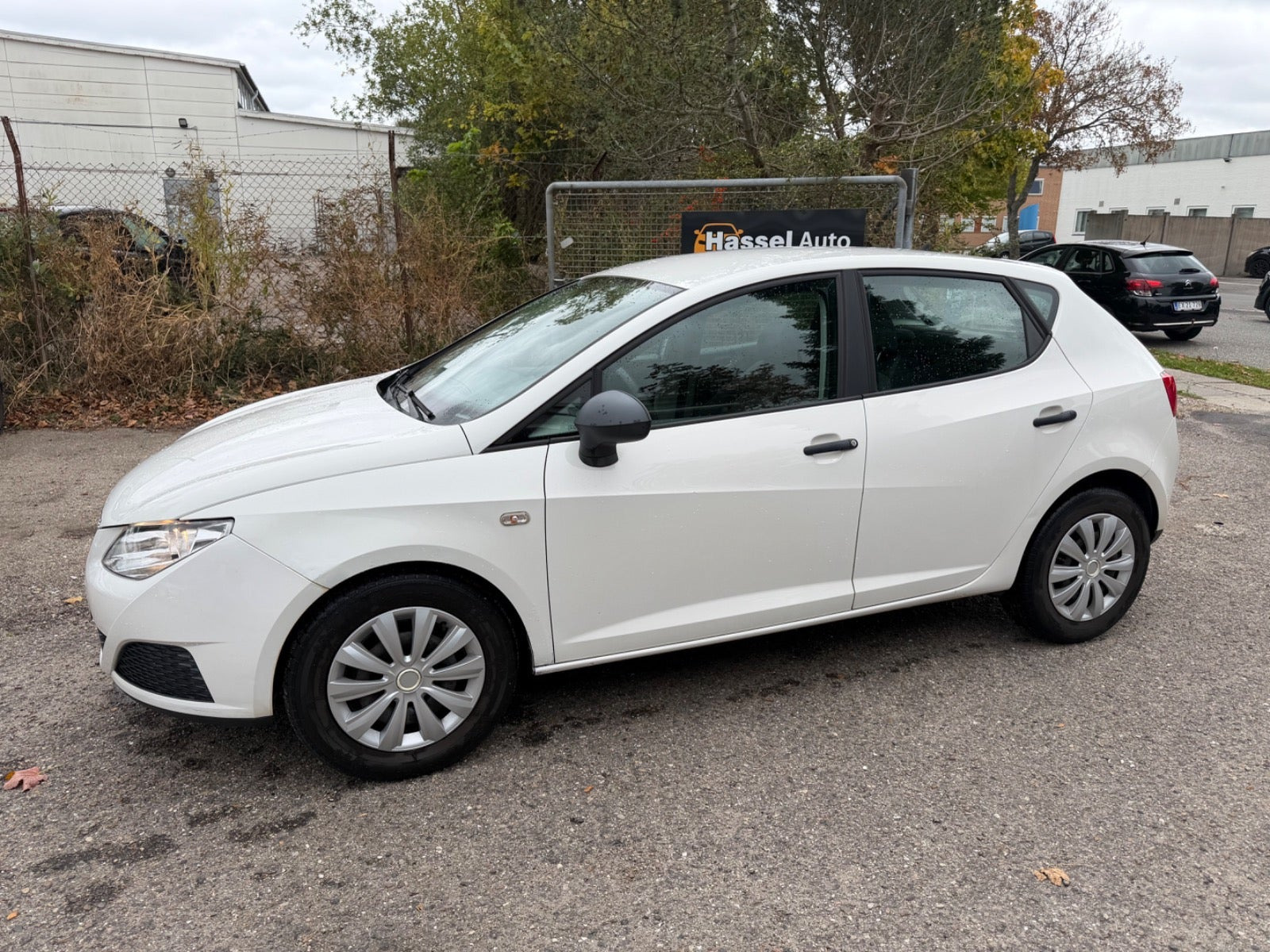Grøn Seat Ibiza fra 2009