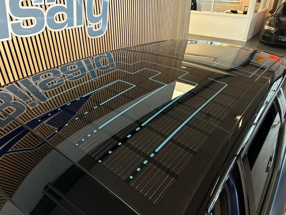 Blå Fisker Ocean fra 2023
