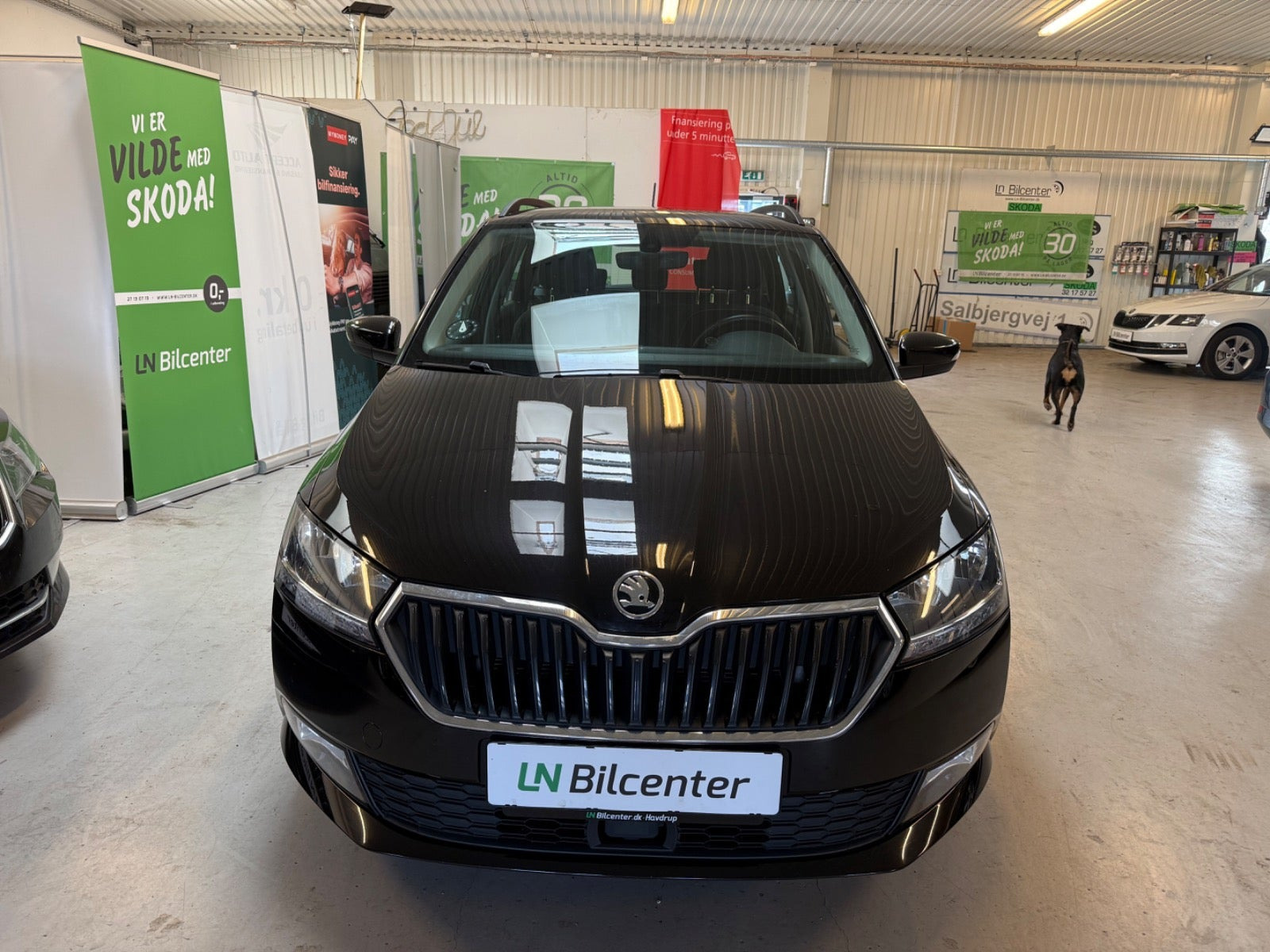 undefined Skoda Fabia fra 2020