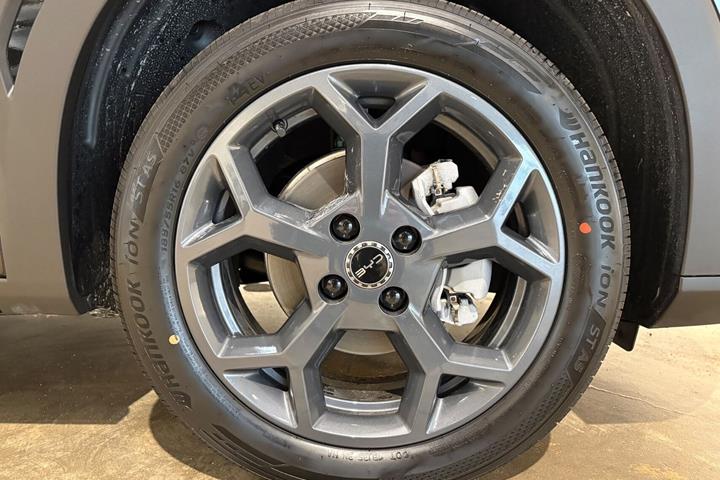 Sort BYD Dolphin Surf fra 2025