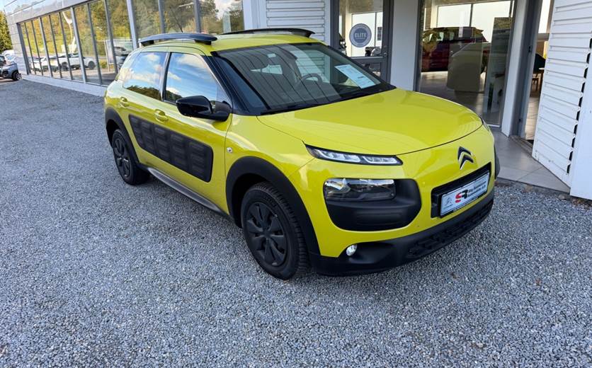 Citroën C4 Cactus 1,6 BlueHDi 100 Iconic
