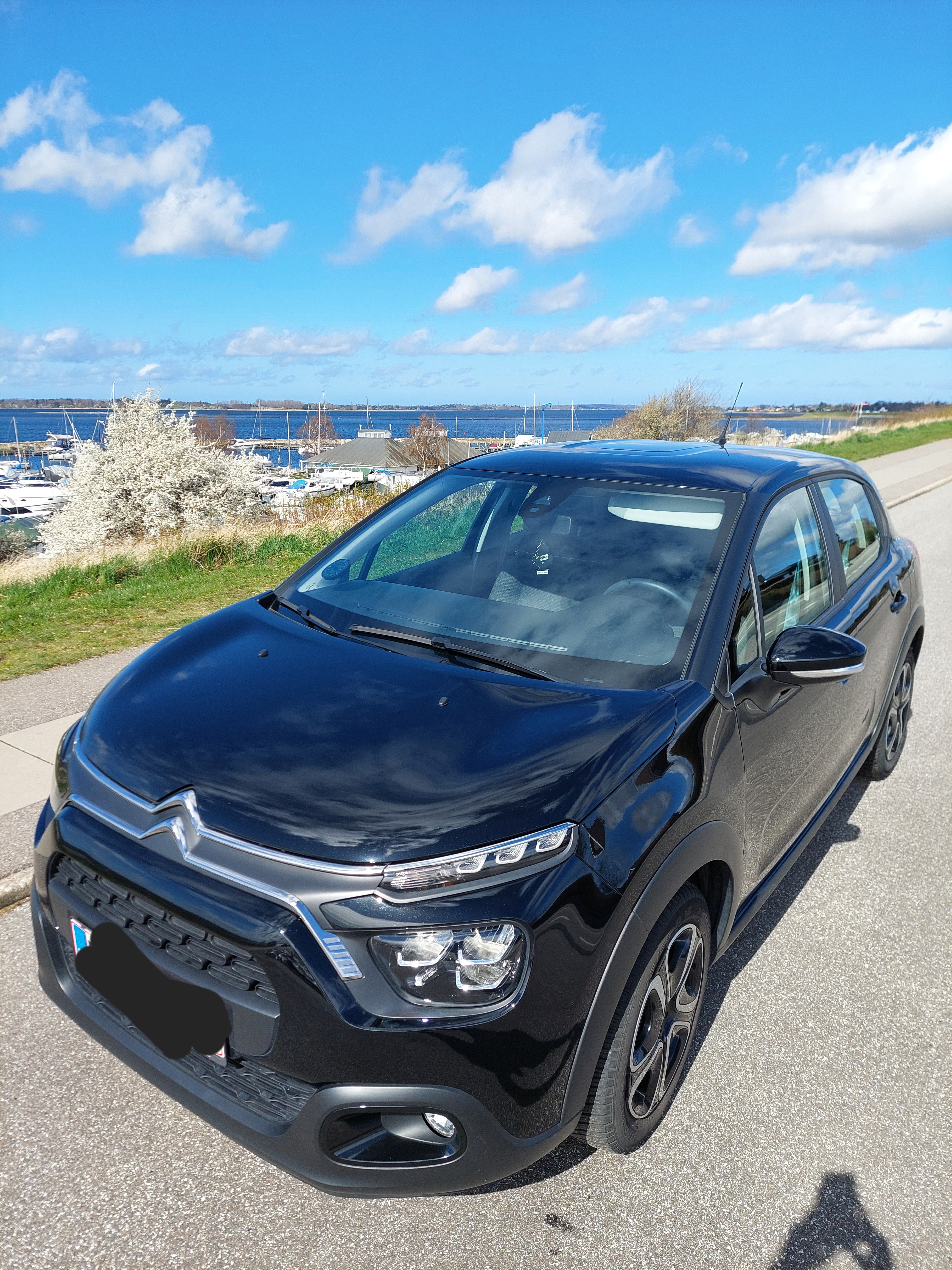 Sort Citroën C3 fra 2021