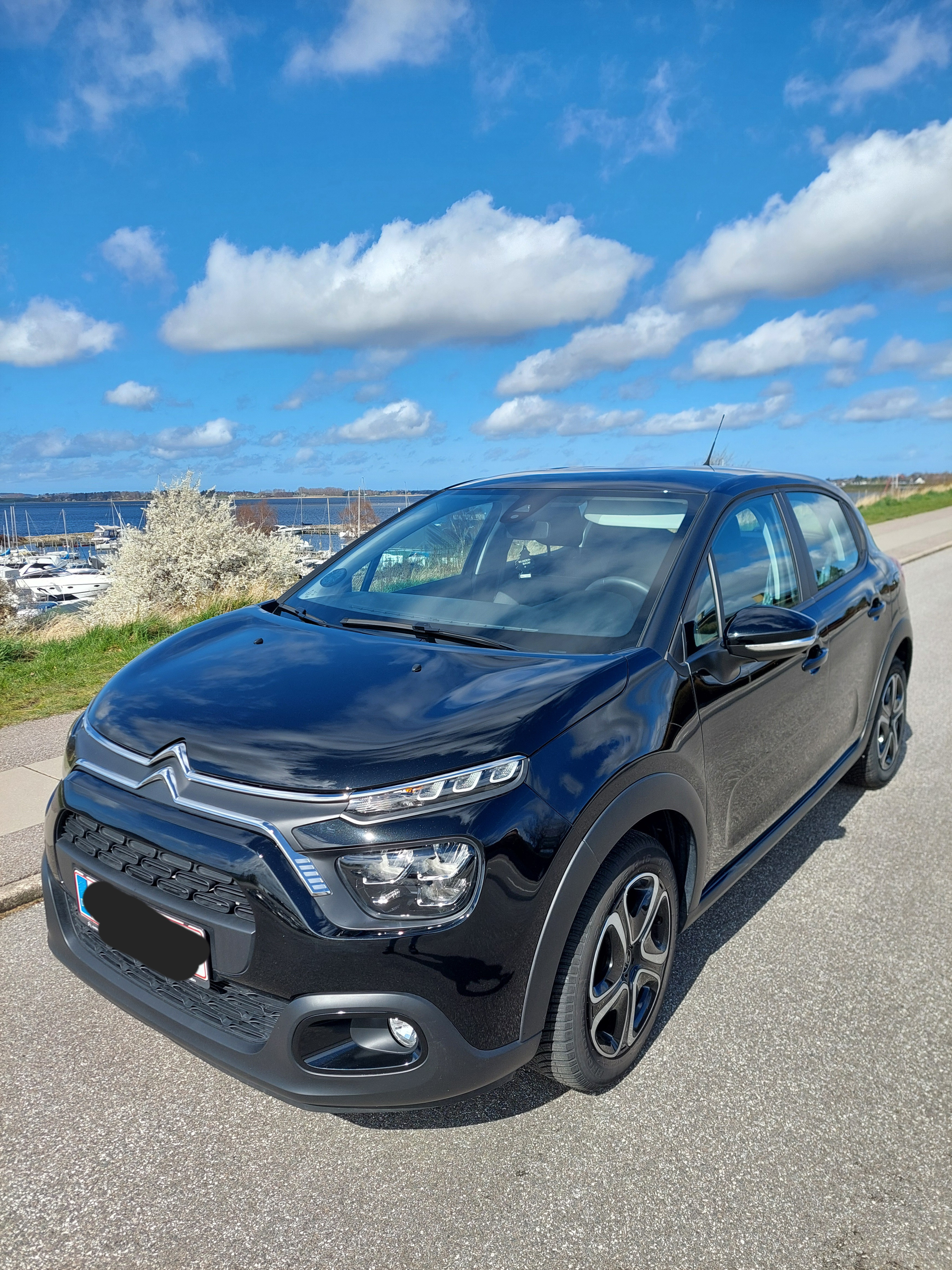 Sort Citroën C3 fra 2021