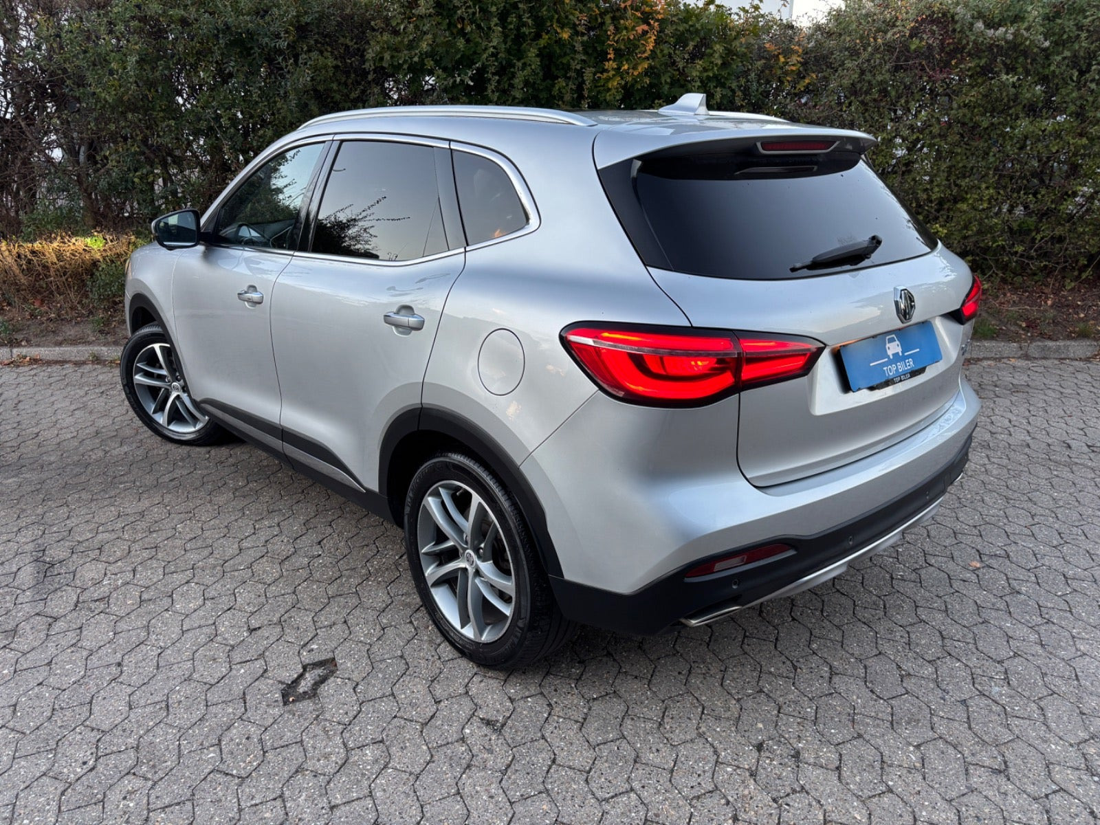 undefined MG EHS fra 2021
