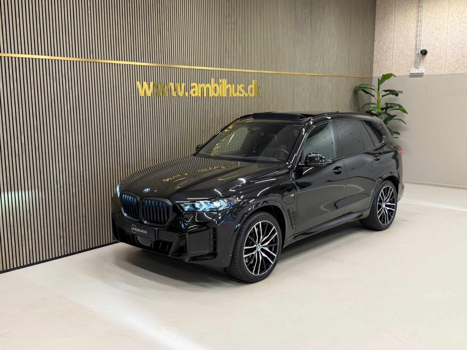 Sort BMW X5 fra 2025