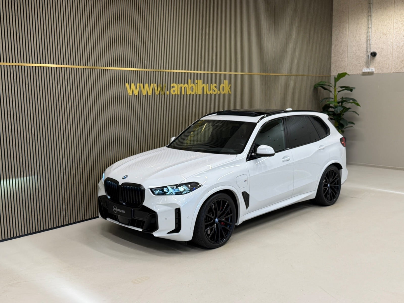 Hvid BMW X5 fra 2024