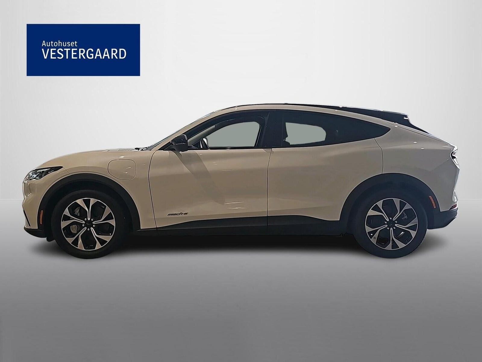 Hvid Ford Mustang Mach-E fra 2025