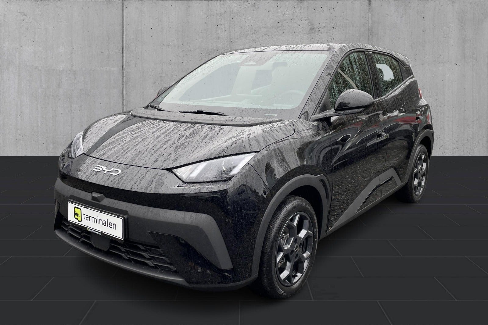 Sort BYD Dolphin Surf fra 2025